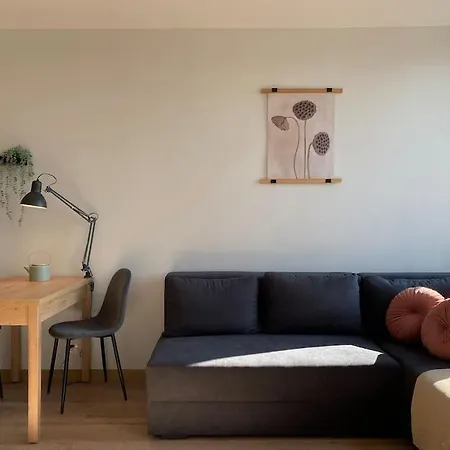 Atrakcyjna Kawalerka 45 Łódź