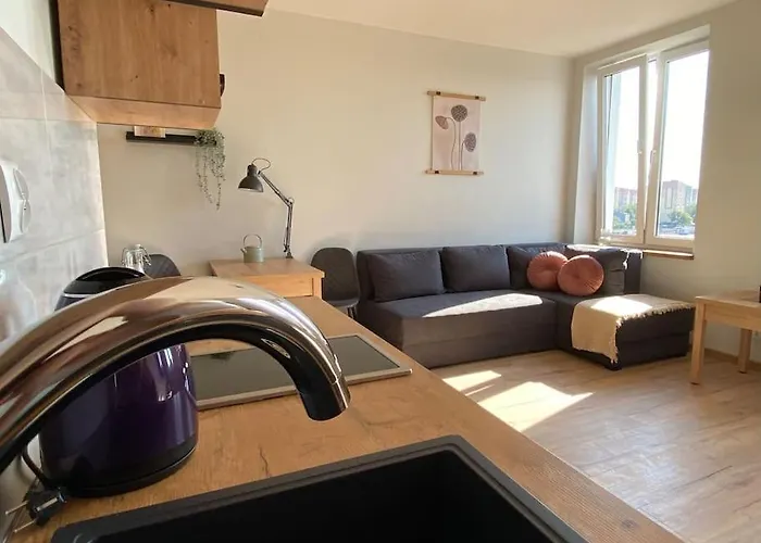 Atrakcyjna Kawalerka 45 罗兹