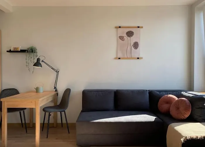 Atrakcyjna Kawalerka 45 罗兹